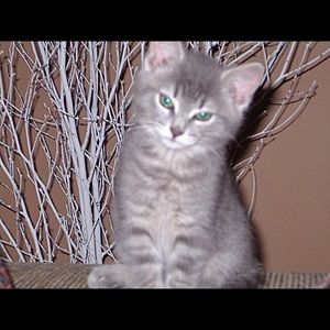 Meet your Posher, Rita